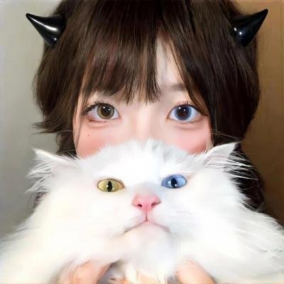 金刚猎鹰2